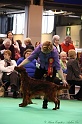 Crufts2011 878